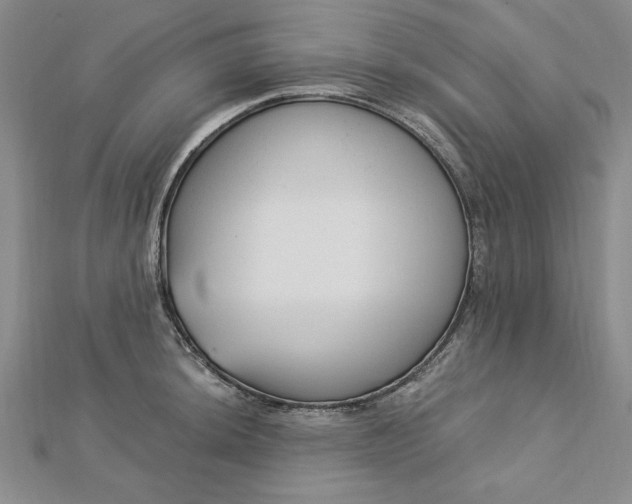 X0000112741044200909031502