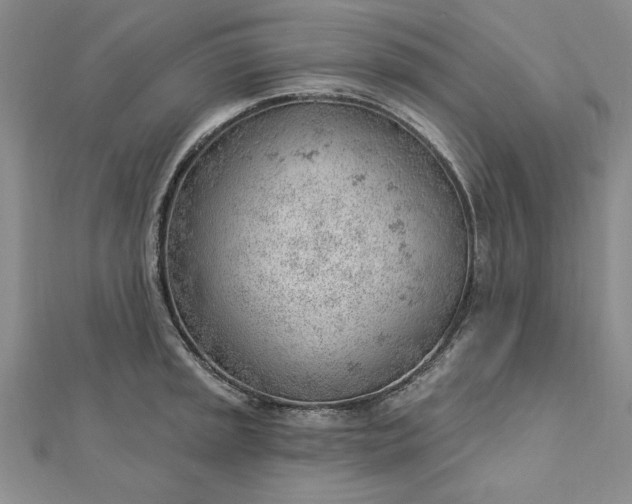 X0000112741045200909031502