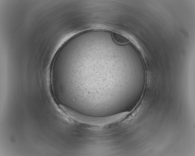 X0000112741048200909031502