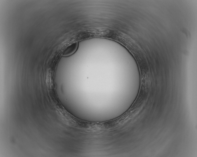 X0000112741058200909031502