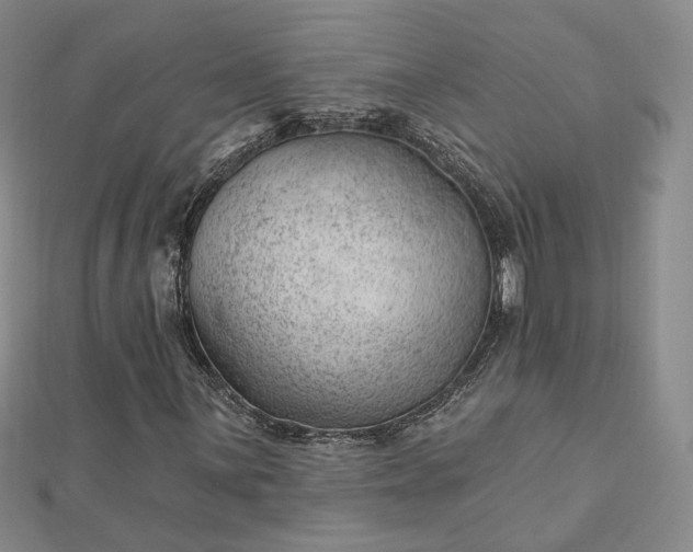 X0000112741059200909031502