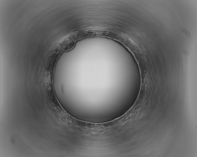 X0000112741062200909031502