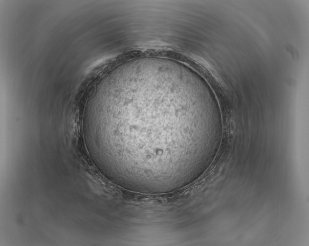 X0000112741063200909031502