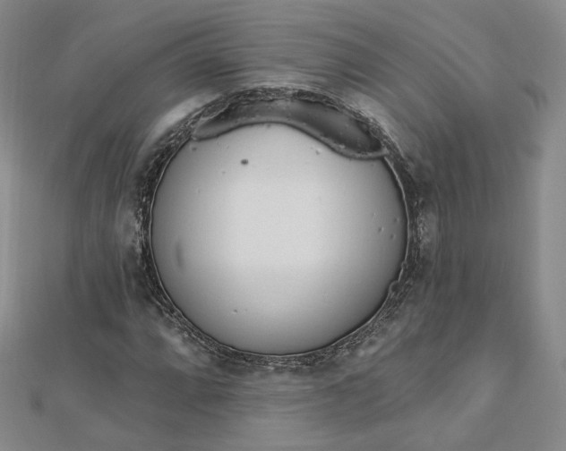 X0000112741064200909031502