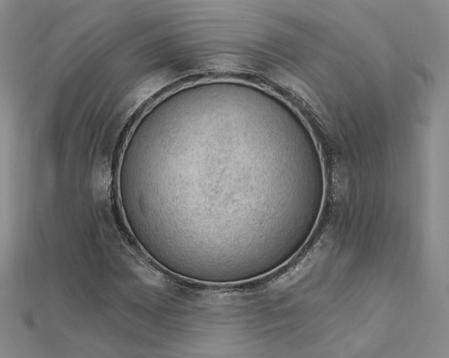 X0000112741065200909031501