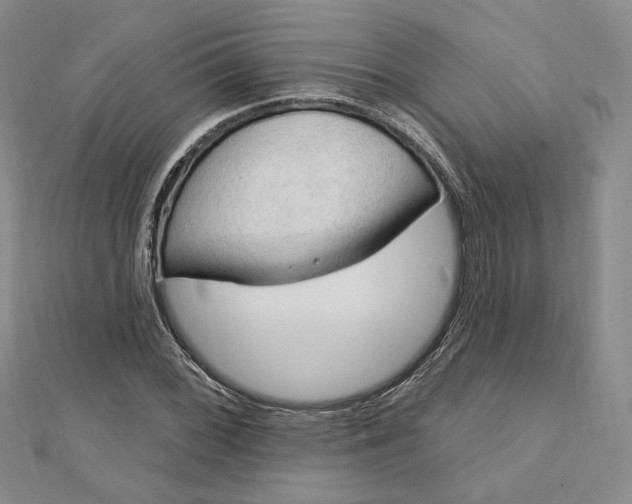 X0000112741068200909031501