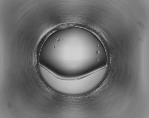 X0000112741069200909031501