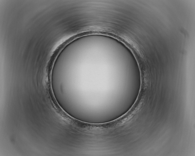 X0000112741070200909031501