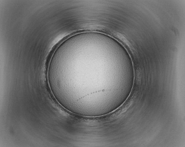 X0000112741071200909031501