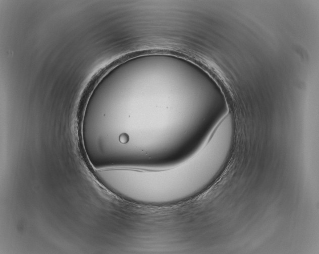 X0000112741072200909031501