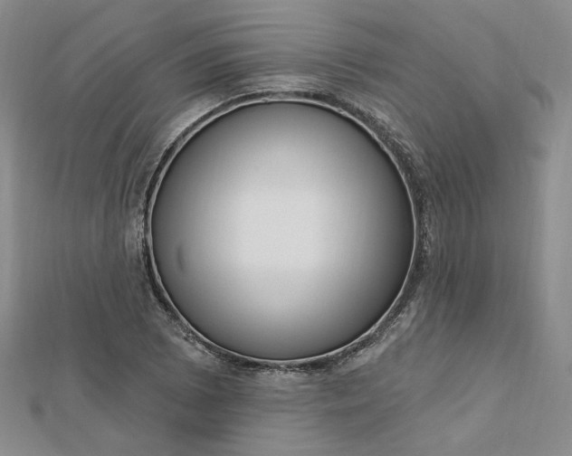 X0000112741073200909031501