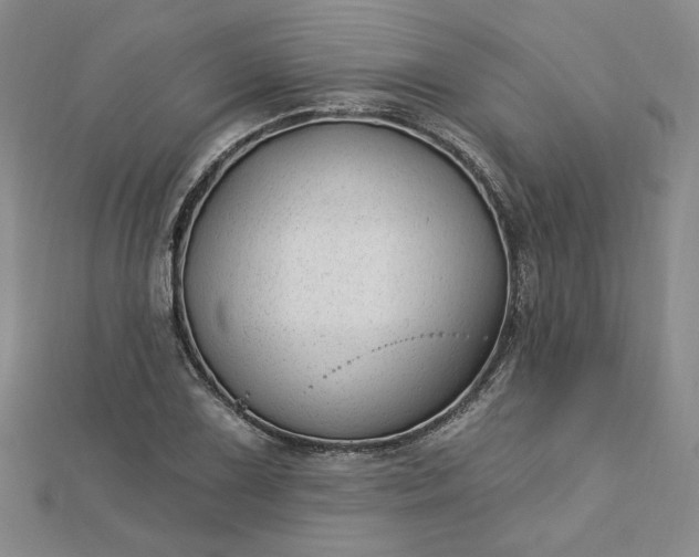 X0000112741075200909031501