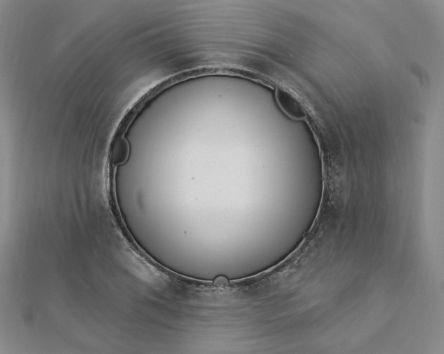 X0000112741076200909031501