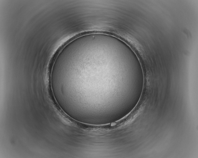 X0000112741077200909031501