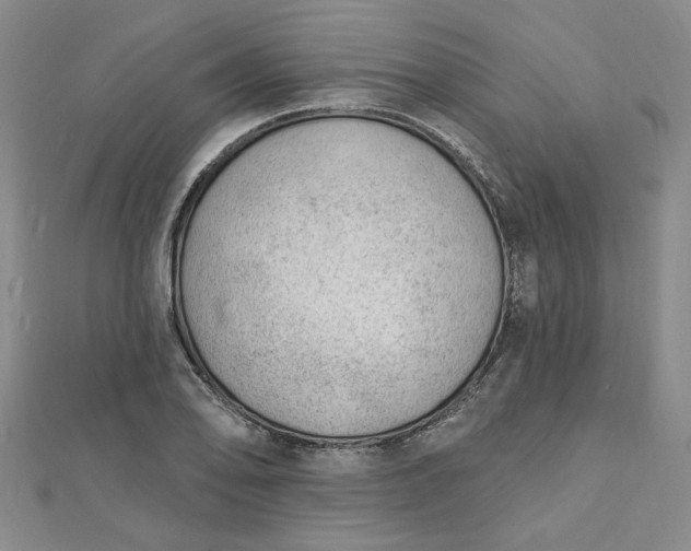 X0000112741078200909031501