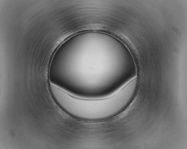 X0000112741081200909031501