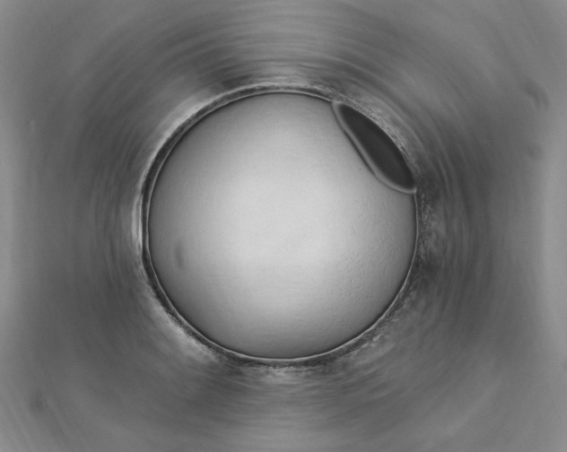 X0000112741084200909031501