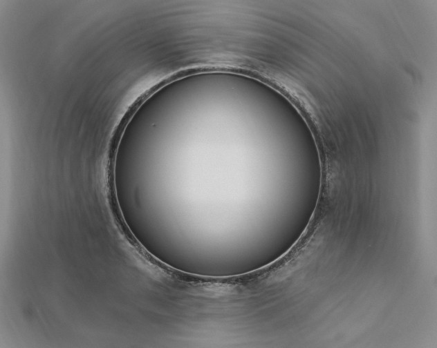 X0000112741085200909031501