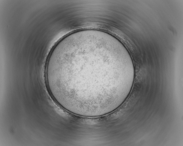 X0000112741086200909031501