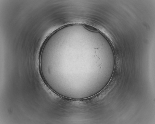 X0000112741088200909031501