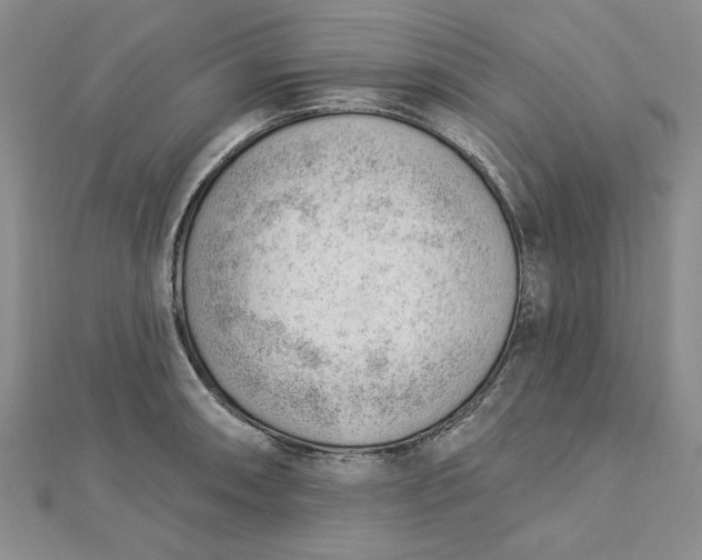 X0000112741090200909031501