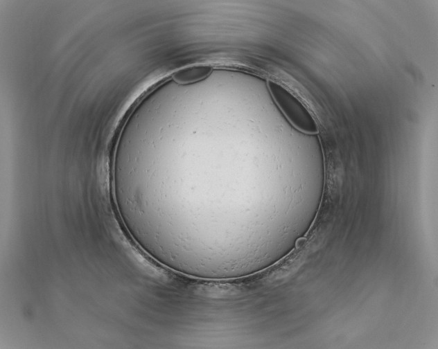 X0000112741092200909031501