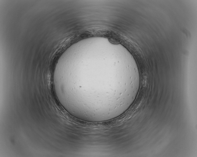 X0000112741108200909031500