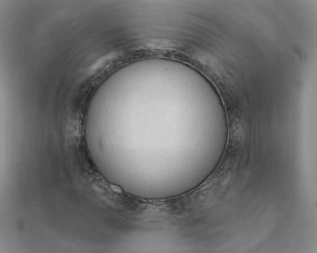 X0000112741110200909031500