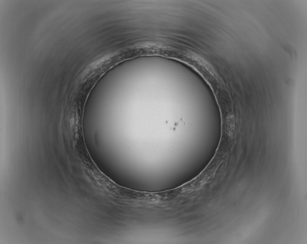 X0000112741111200909031500