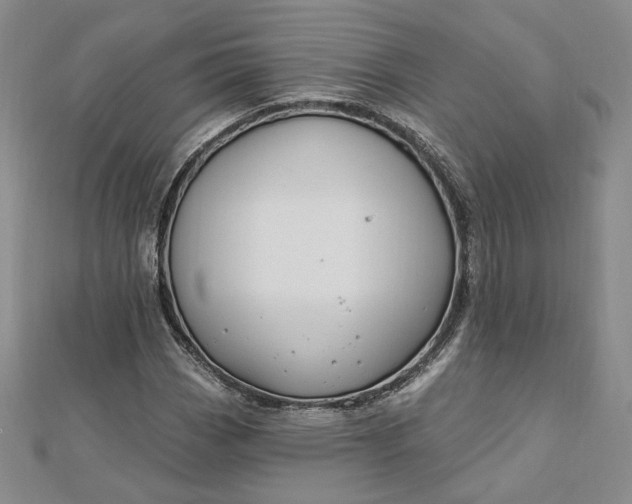 X0000112741113200909031500