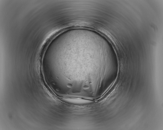 X0000112741115200909031500