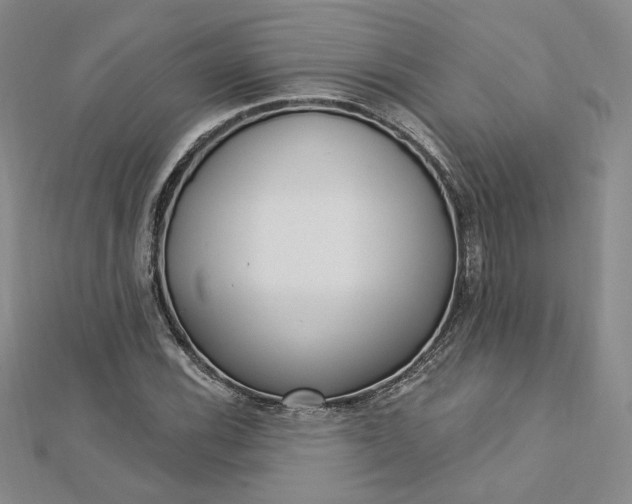 X0000112741116200909031500