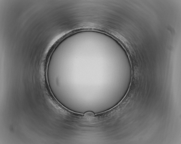 X0000112741120200909031500