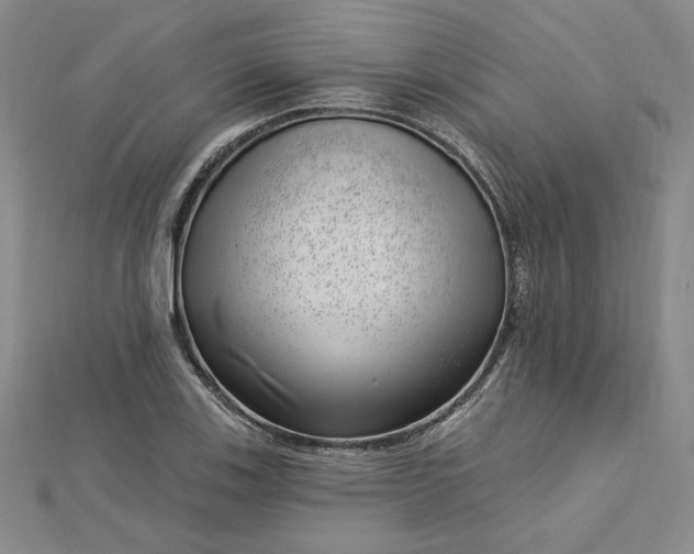 X0000112741123200909031500