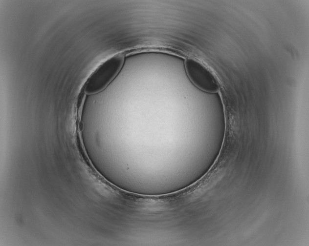 X0000112741124200909031500