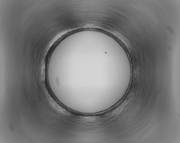 X0000112741126200909031500