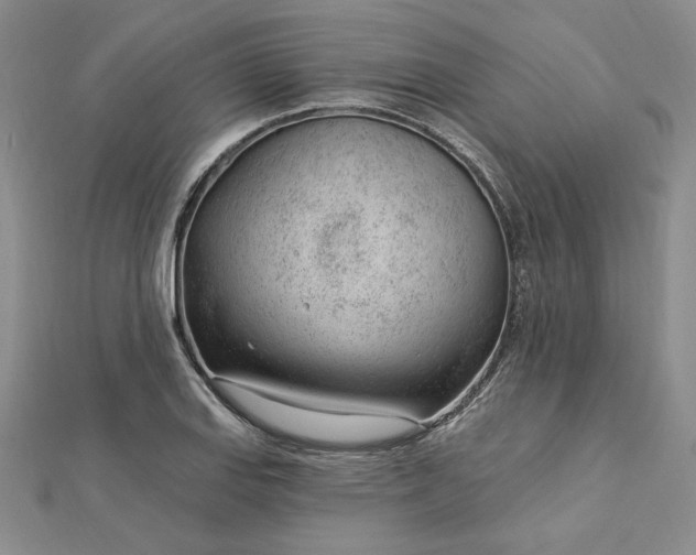 X0000112741127200909031500