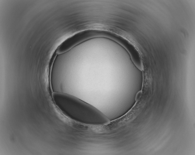 X0000112741128200909031500