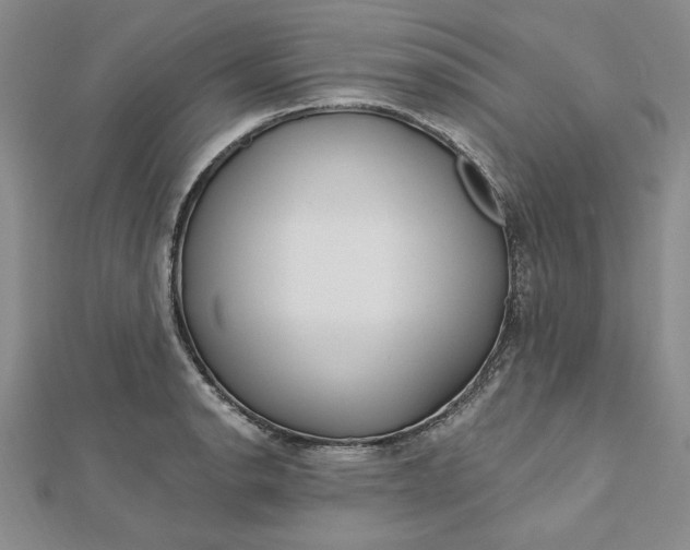 X0000112741134200909031500