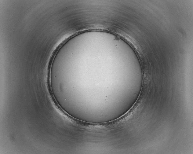 X0000112741135200909031500