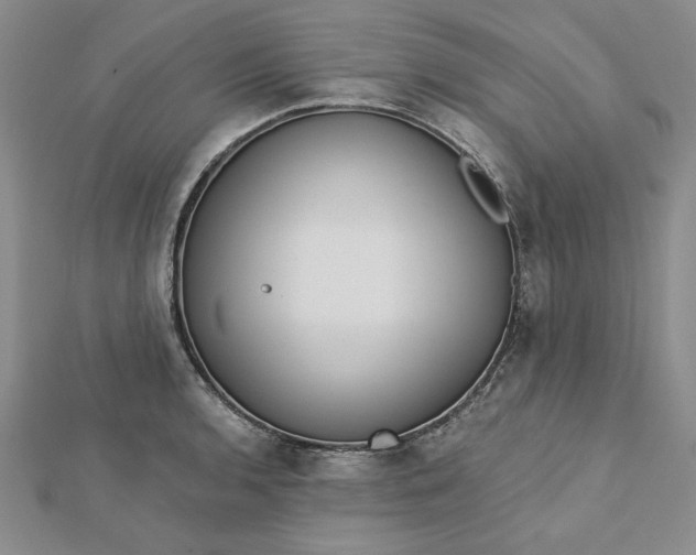 X0000112741136200909031500