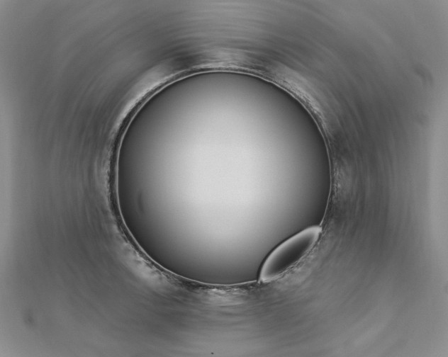 X0000112741138200909031500