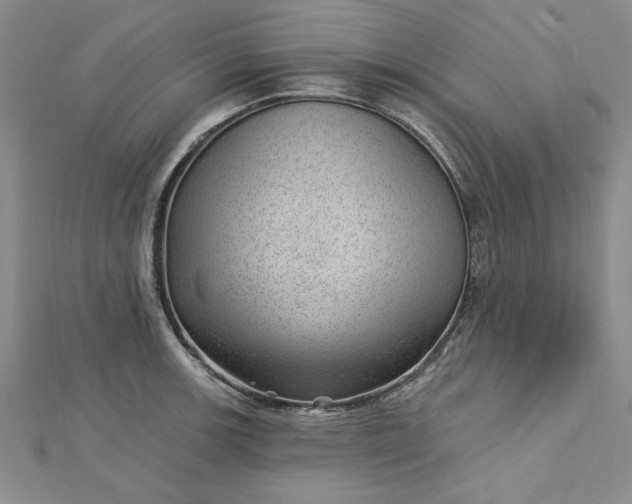 X0000112741139200909031500