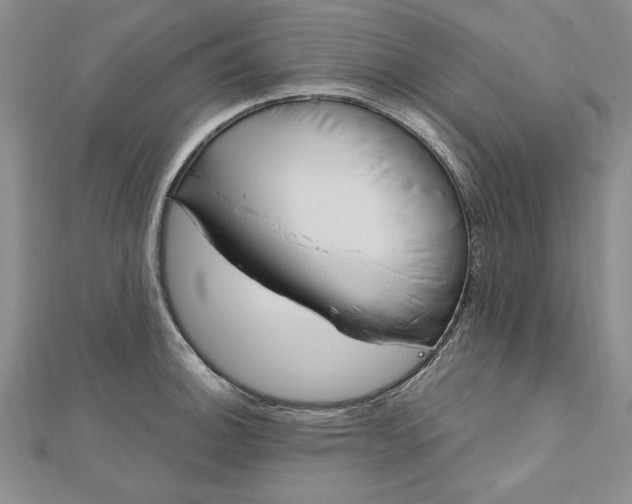 X0000112741140200909031500