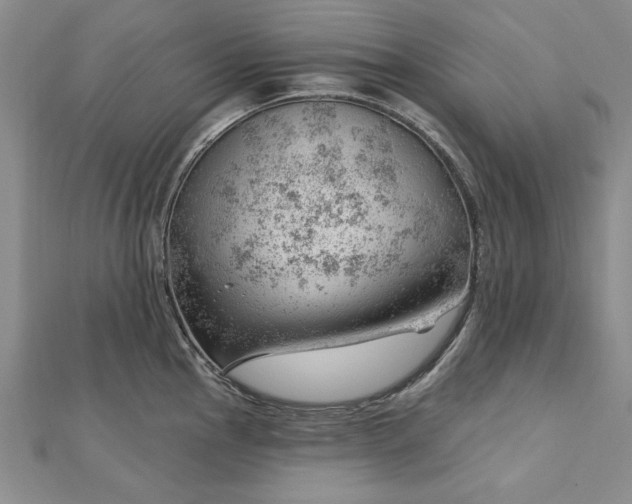 X0000112741145200909031501