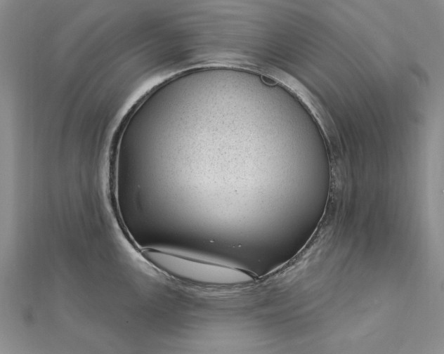 X0000112741147200909031501