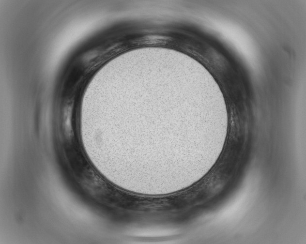 X0000112741150200909031501