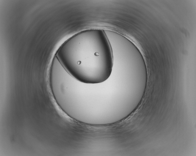 X0000112741152200909031501