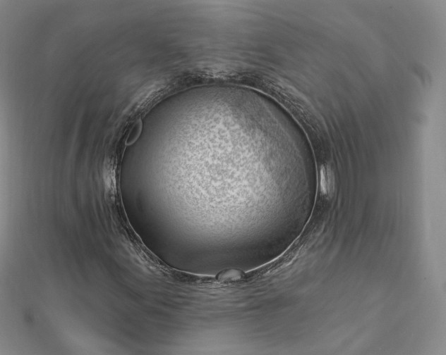 X0000112741155200909031500