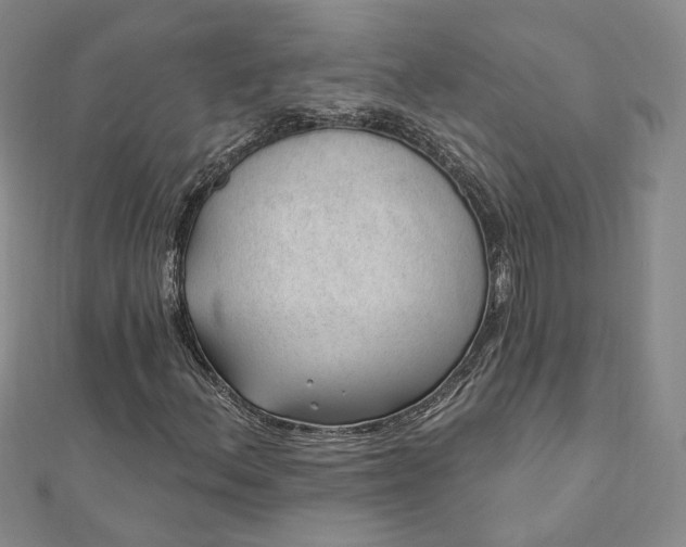 X0000112741156200909031500